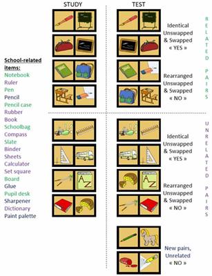 Impact of Semantic Relatedness on Associative Memory: An ERP Study
